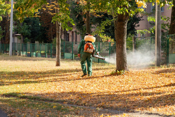 Best Affordable Pest Control Services  in Britt, IA