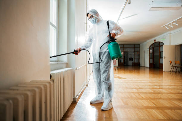 Best Pest Control Treatment  in Britt, IA